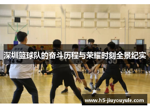 深圳篮球队的奋斗历程与荣耀时刻全景纪实